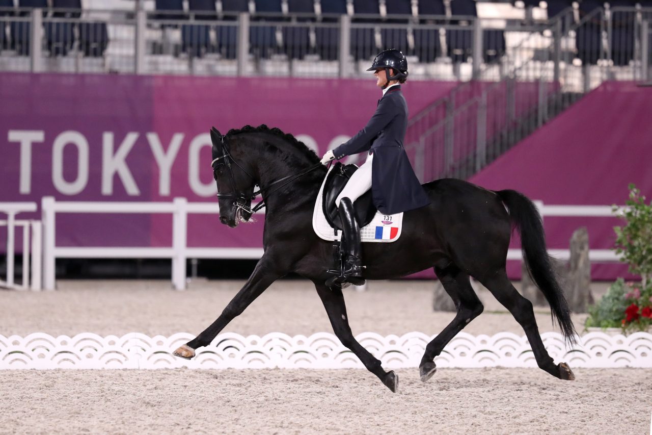 Equestrian