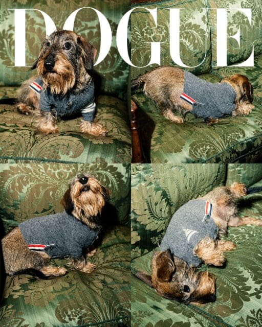 Thom Browne 標誌性 Hector 手袋的靈感來源!設計師分享與愛犬的生活細節
