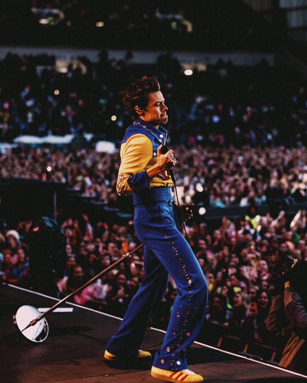 Harry