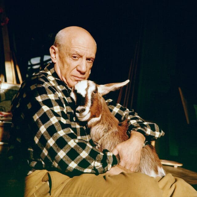 藝術三月丨Phillips展售會《畢加索的動物王國》,一場圍繞畢加索與動物的心靈對話