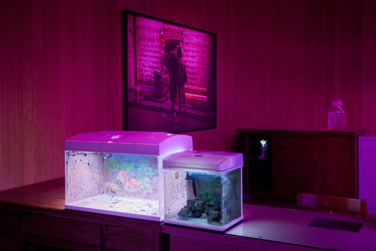 Installation