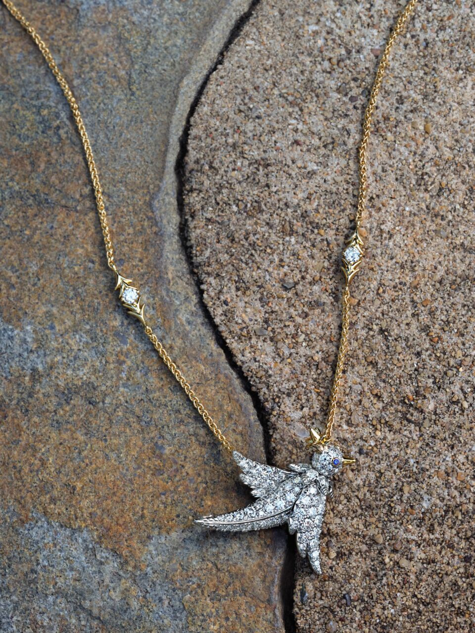 追溯Bird on a Rock靈感之源，Christopher Young談Tiffany & Co.最新珠寶系列
