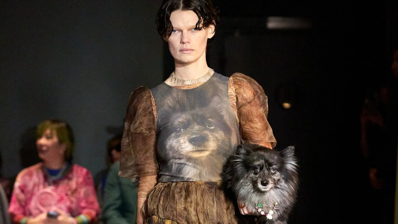 慶祝「國際狗狗日」！從Giorgio Armani到Moschino，狗狗登上天橋成就經典時尚瞬間！