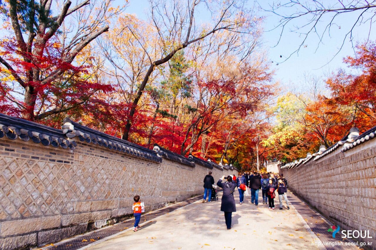 探索韓國的秋日魅力!2026 韓國紅葉觀賞指南,7個從郊外到市區不可錯過的賞葉景點